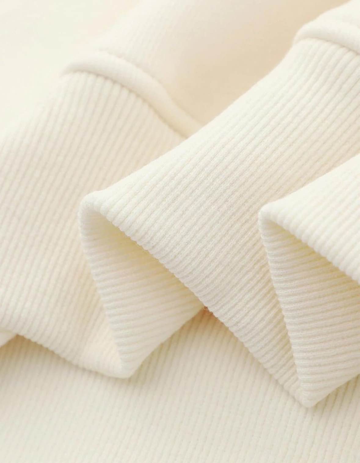 美國Aelfric Eden 正版蝴蝶結連帽加絨衛衣