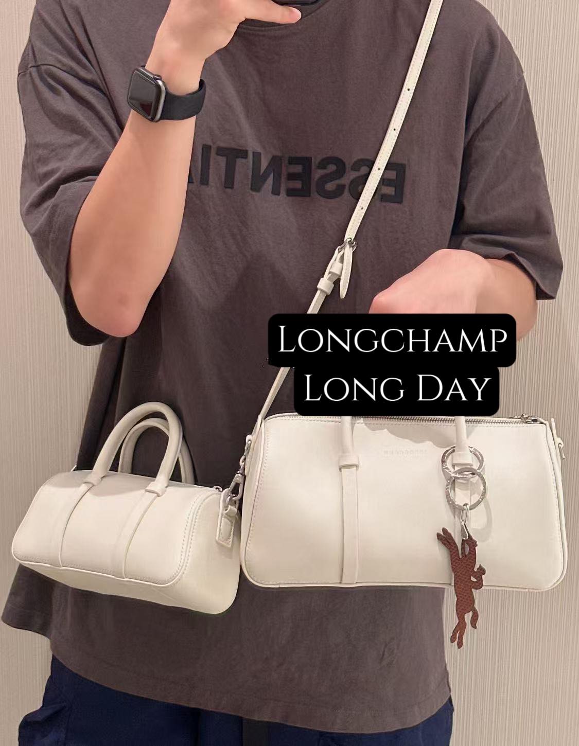 Longchamp頭層牛皮超纖Long Day包