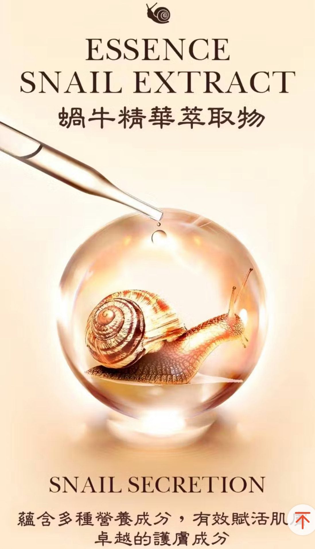 韓國黃金蝸牛水潤美白遮瑕BB霜 SPF50【買一送一】