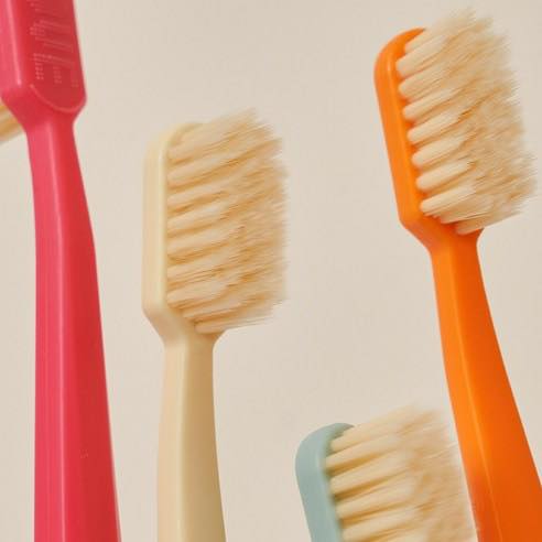 韓國HETRAS 彩虹雙層刷毛油漆桶牙刷21支