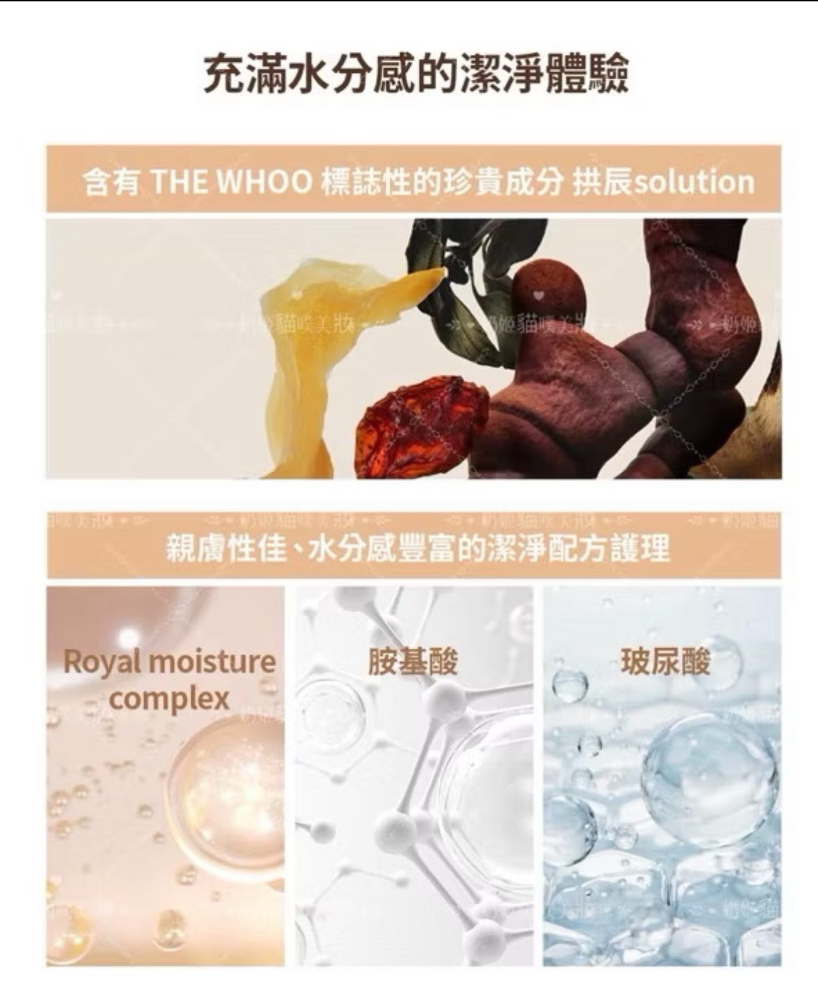 《買一送一》WHOO后拱辰享潔面泡沫180ml